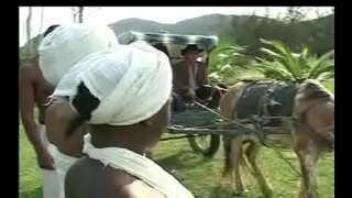 ���ოგორც Negras da senzala